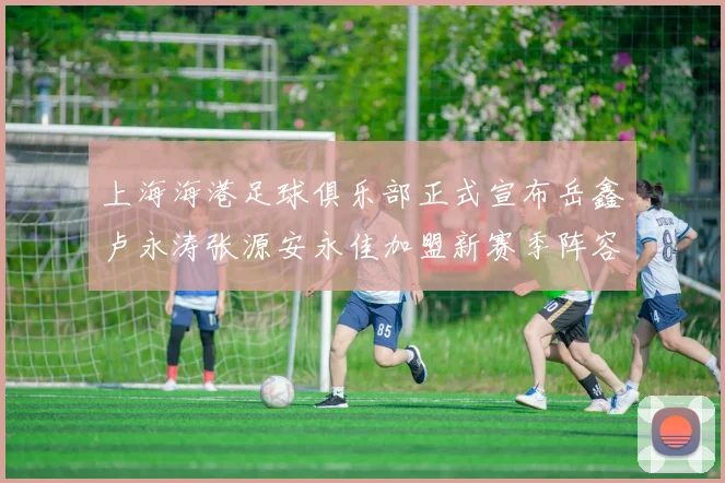 上海海港足球俱乐部正式宣布岳鑫卢永涛张源安永佳加盟新赛季阵容更新