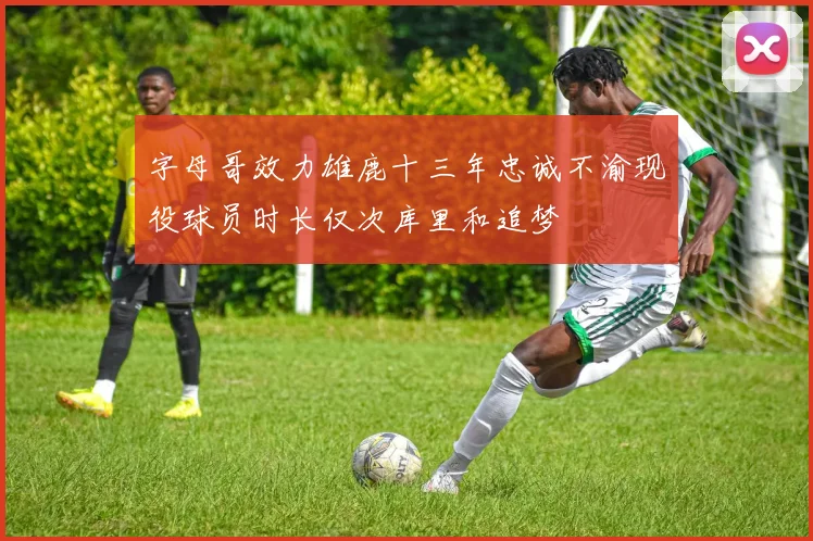 字母哥效力雄鹿十三年忠诚不渝现役球员时长仅次库里和追梦